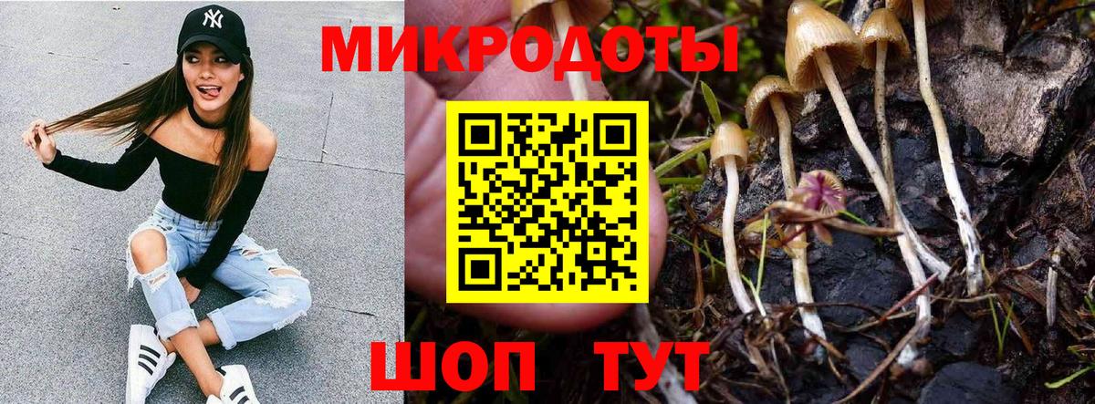 Галлюциногенные грибы мицелий  Вход с VPN  Алексин 