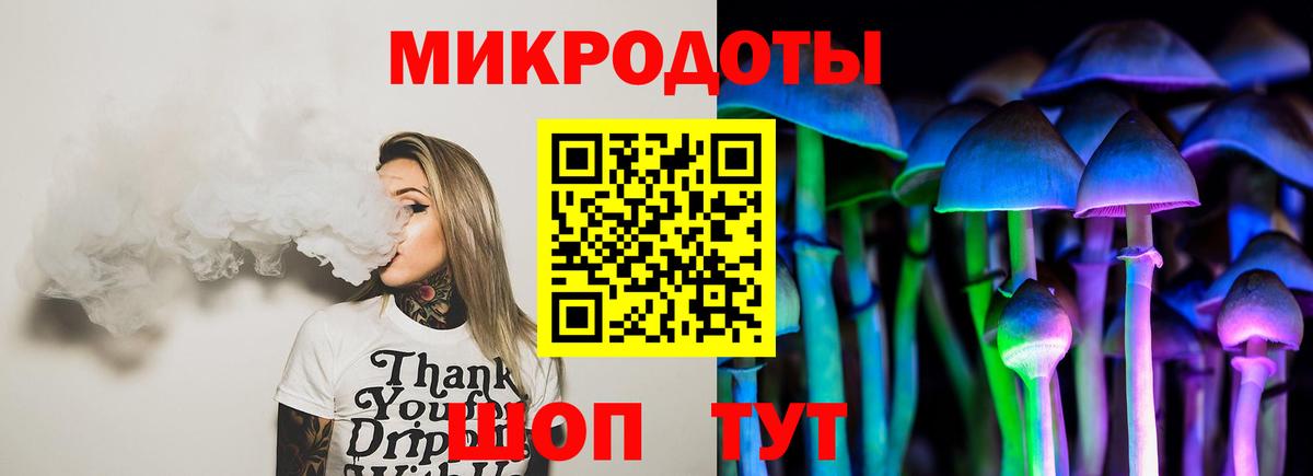 Псилоцибиновые грибы мицелий Алексин